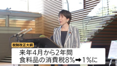 2027年4月から2年間限定で食料品の消費税1%に減税がほぼ確定 日本政府が食料品消費税1％へ税制改正大綱を閣議決定