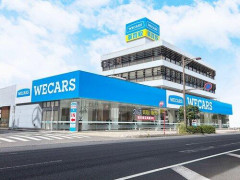 【画像】ビッグモーター店舗前の街路樹、再生して芽吹く！！！！！！！！