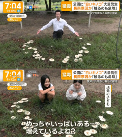 【悲報】長引く大雨の影響により各地で毒キノコが発生している模様
