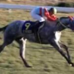 【競馬】ちょっと信じられない脚を使いました