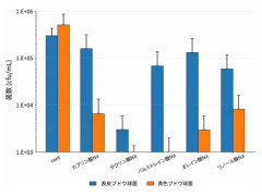 牛乳石鹸　ニキビやアトピー対策に効果があると洗顔界隈で絶賛される