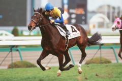 【悲報】未だにディープインパクトが日本競走馬で最強と言われる理由