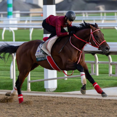 【競馬】ジョッキークラブゴールドカップ、2頭回避で５頭立てに