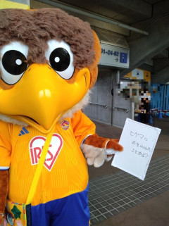 【サッカー】J2仙台のマスコット「ベガッ太」、札幌戦でクマ被害をイジって謹慎処分