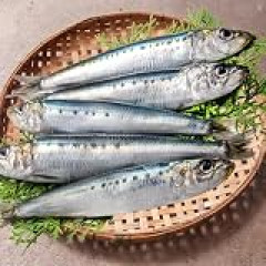 イワシとかサンママジうめぇ 劣化が早いんで関東民は銚子で食うといい