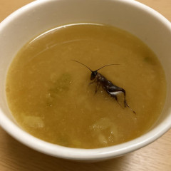 「気づかず半分飲んだ」くら寿司汁物に“コオロギ”混入？Threads投稿拡散、運営会社「把握している」保健所に報告   #🦗