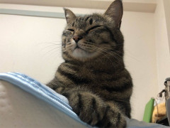 嫁が職場の元上司と不倫。嫁「ごめん。寂しかったから・・・」俺は再構築を選択したが、ショックでﾀﾋ人みたいな顔で生活してた。→結婚記念日に「愛してる」と言ったら・・・