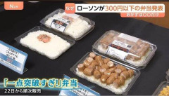 【画像】ローソンさん、格安弁当を発売へwwwwwwwwww