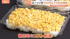 【画像】ローソン、格安弁当発売するもヤバすぎると話題にwwwwwwwwwwwwwwwww