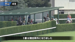 【日曜中山4R】グランマエストロさんとジャジャミンさん