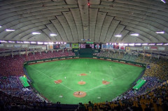 プロ野球を観るにあたって贔屓球団ってどうやって決めればええの？過去10年の勝率とか優勝回数？