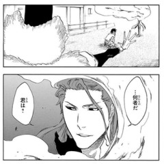 【BLEACH】（…何者だ君は？）