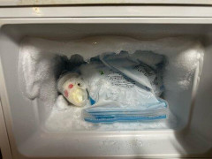 【悲報】一人暮らしするときにこれは買っとけってもの