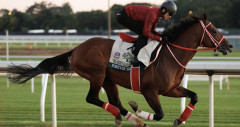 【競馬】フォーエバーヤングは引退前にサウジカップ3連覇を目指すかも? 矢作師「そうかもしれない」