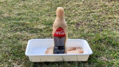【爆笑】海外のメントスコーラ、ガチでレベチすぎるｗｗｗｗｗｗｗｗｗｗ