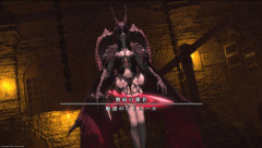 【FF14】闘獣練でサキュバスの3回目のブラッドソード(ドレイン)って必中だけどこれを防ぐ手段ってあるの？ブリンク使ってもダメだったんだけど…