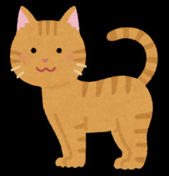 【衝撃】母と兄嫁、そして小学生の姪が見知らぬ猫で遊んでいた。→その理由を聞いてみたら…