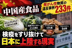 【速報】日本に輸入される中国産「発がん性」食品を水際で食い止めるのは困難と判明