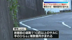 サル10匹以上に囲まれ…40代男性かまれケガ 神奈川・湯河原町の温泉街で