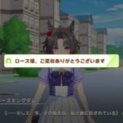 【ウマ娘】何でこの学生達は王家プレイやりたがるんだ