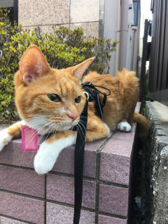 借金の申し込みを断ったら、相手が「必ず返すんだからいいじゃない」と文句をたれた。こちらが冷たい人みたいに言ってくるのがほんとに分からない。被害者気取りなのが腹立つ。