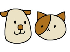 夫が犬や猫を飼いたいとせがんでくる。言い訳していたが、猫を飼った同期がチヤホヤされるのを見て悔しそうにしている。