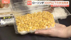 韓国人「日本のコンビニが発表した275円の衝撃的な弁当に驚きの声！」→「この発想がただただ凄い‥（ﾌﾞﾙﾌﾞﾙ」