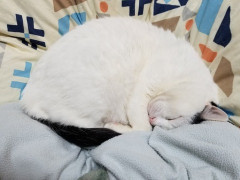 ＳＮＳ関係がきっかけで、彼が私のことを友達に「そんなに可愛くない」と言ってたことを知ってしまった。可愛い綺麗タイプだと猛烈に褒めちぎるのを信じてた自分が恥ずかしい。