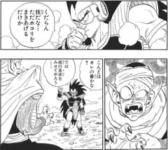 ラディッツって他所のバトル漫画だとラスボス級に強かったりするのかな