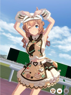 【ウマ娘】9月チャンミはバレタイキが強すぎる