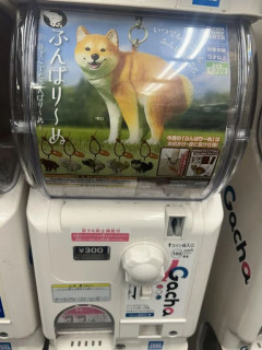 外国人「なぜ日本が大好きかって？自分の場合はこれがあるからだ」