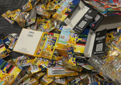 【悲報】ポケモンを買った少年、20万円をドブに捨ててしまう…