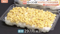 【悲報】日本の貧困弁当、海外にバレる