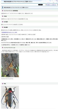 【朗報】神奈川でカミキリムシ1匹1000円の報奨金制度開始
