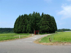 【爆笑】中森だけど小森を見下してる