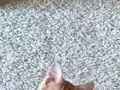 うちの子はどんなオモチャよりコレが好き。ボク、何かしましたか？ → 目を離すと床はこの有様です…