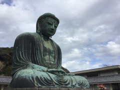 “ぼっちな生まれ”より“ぼっちな育ち”の方が他者と関わるのが苦手？　京大がオタマジャクシの社会性を実験