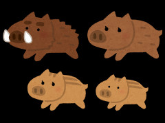 ウト実家から甘やかされて、お姫様な心のままトメになってしまった