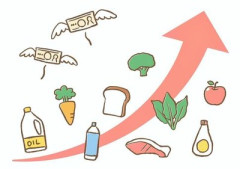 食費1日500円下回る 困窮世帯、物価高の影響強く NGO調査 水面下での二極化すげーな
