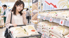 【コメ価格下落】5kg平均2971円、約2年ぶり「2000円台」に突入　5週連続で値下がり