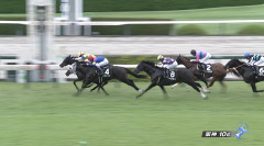 【北摂特別】14人気のビーアイフォルテ＆鮫島克駿騎手がｷﾀ━━━━(ﾟ∀ﾟ)━━━━!!