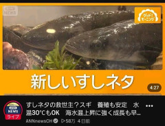 【画像】新しい寿司ネタ「スギ」ｗｗｗｗｗｗｗｗｗｗ