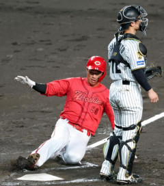 カープ中村奨成の好走塁を新井監督が評価「隙を見せないことは、チームとして徹底している」