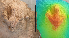 ティラノサウルスの成体の連続した足跡を初めて発見。6650万年前の歩行の痕跡