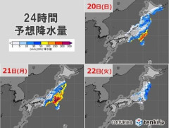 【台風】関東住みぼく、無事死ぬ