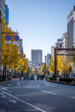 【悲報】関東民さんに聞きたいんやが…福岡と札幌ってどっちが都会だと思う？ｗｗｗｗｗｗｗｗｗｗ