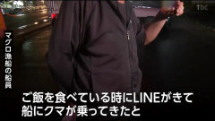 くまさん マグロ漁船に乗り込んでしまうｗｗｗｗｗｗｗｗｗｗｗｗｗｗ