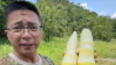 【食品】中国産タケノコから基準値24倍の二酸化硫黄を検出…人気配信者の告発で注目集まる