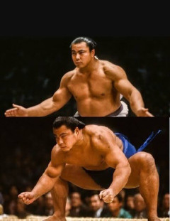 【画像】千代の富士の筋肉ｗｗｗｗｗｗｗｗｗｗｗｗｗｗ