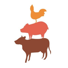 【肉の種別人気】マツコ 鶏肉が10代で圧倒的1位に驚き 本人は豚予想も・・・「何が起きてるの?みんな、何したいの?」